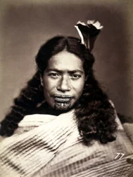 Portræt af en maori med tatoveret ansigt, ca.1886-88
